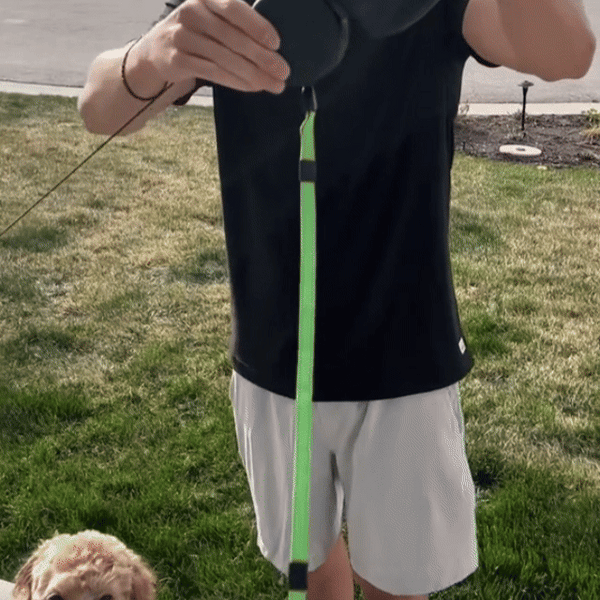 PawPilot™ Duo – Retractable Dual Dog Leash with LED & 360° No-Tangle Swivel