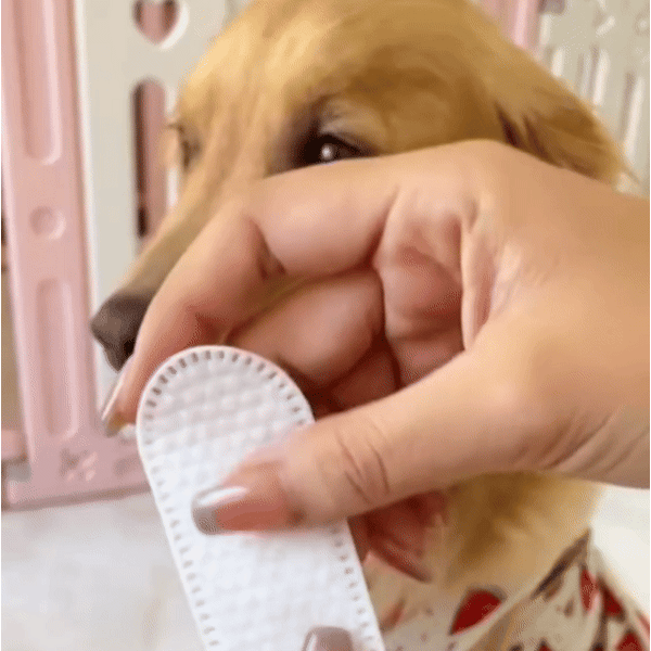 FreshPaws™ No-Brush Dental Wipes for Dogs & Cats